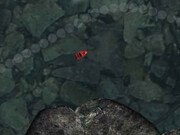 Play Miniboat Racers Miniboat Racers Game Online